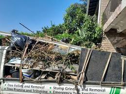 Best Foreclosure Cleanout  in Gladstone, MI